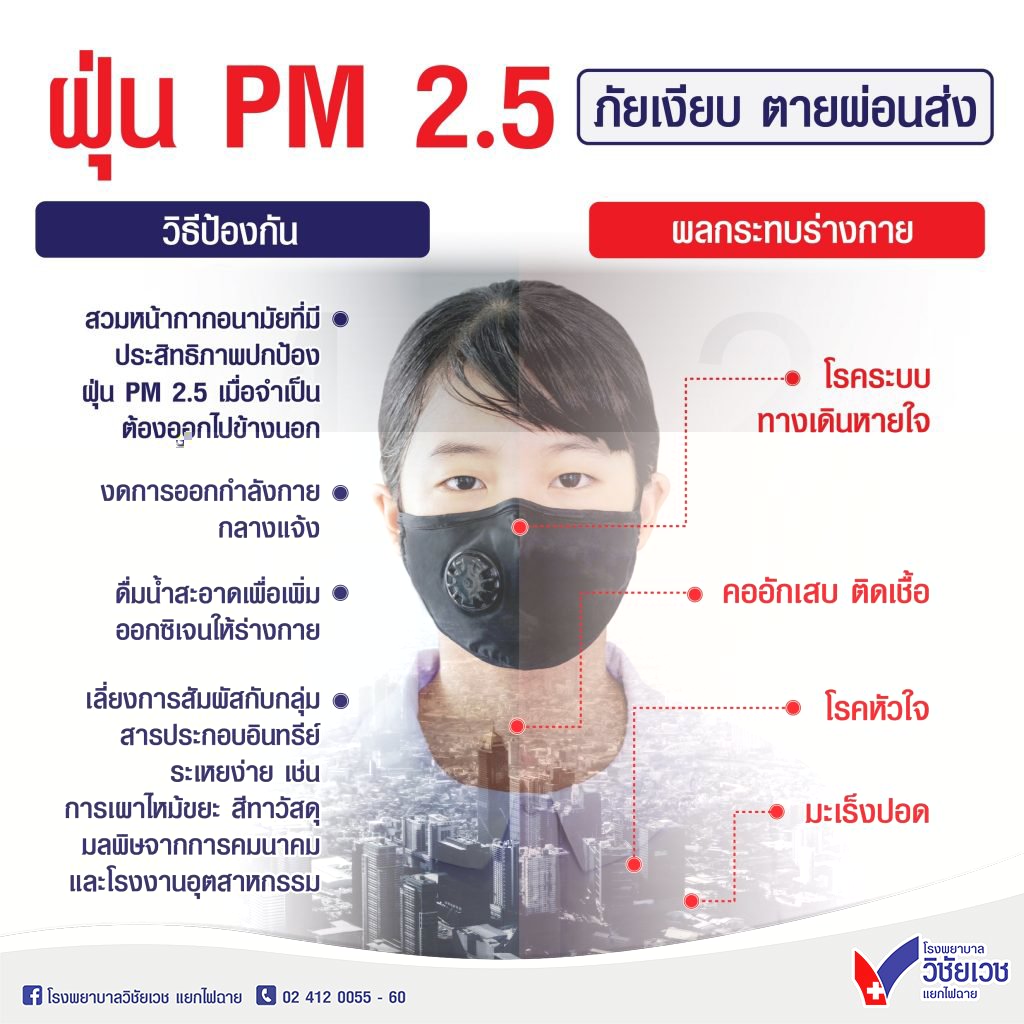 ฝุ่น PM 2.5 ภัยเงียบ ตายผ่อนส่ง