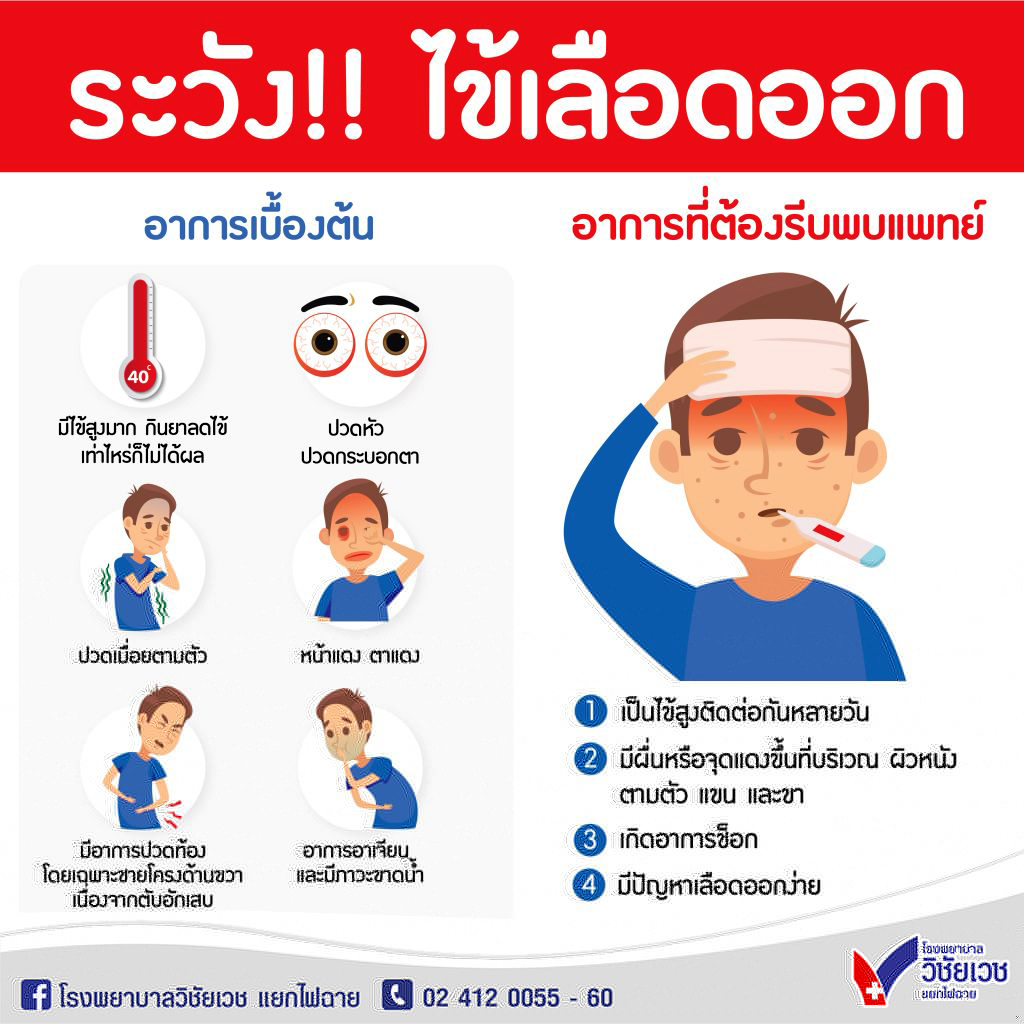 ระวัง!! ไข้เลือดออก